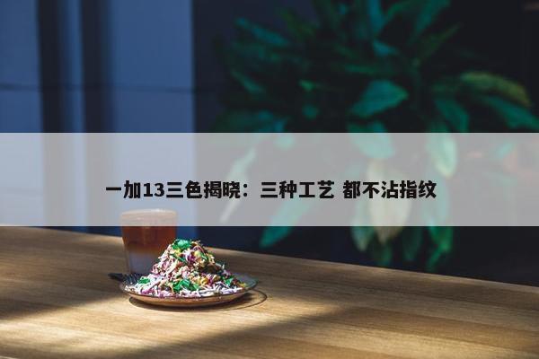 一加13三色揭晓：三种工艺 都不沾指纹