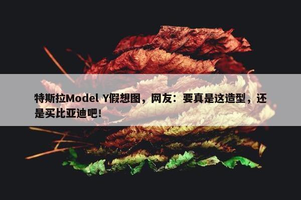 特斯拉Model Y假想图，网友：要真是这造型，还是买比亚迪吧！