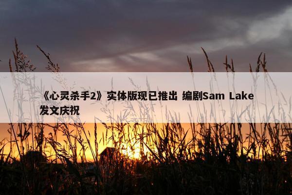 《心灵杀手2》实体版现已推出 编剧Sam Lake发文庆祝