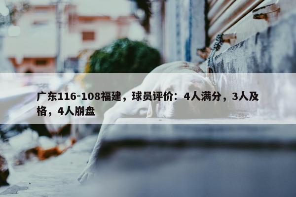 广东116-108福建，球员评价：4人满分，3人及格，4人崩盘