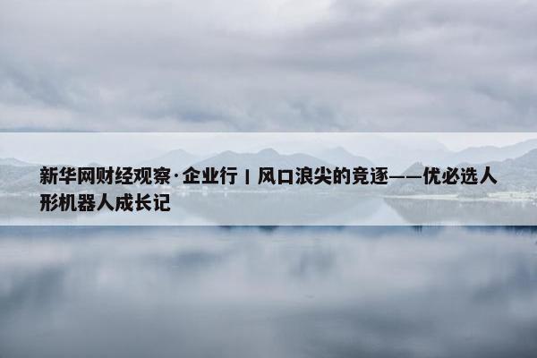 新华网财经观察·企业行丨风口浪尖的竞逐——优必选人形机器人成长记