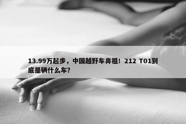 13.99万起步，中国越野车鼻祖！212 T01到底是辆什么车？