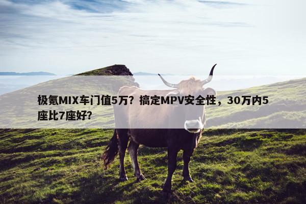 极氪MIX车门值5万？搞定MPV安全性，30万内5座比7座好？