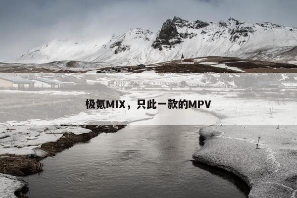 极氪MIX，只此一款的MPV