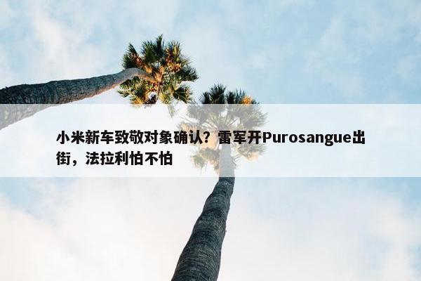 小米新车致敬对象确认？雷军开Purosangue出街，法拉利怕不怕