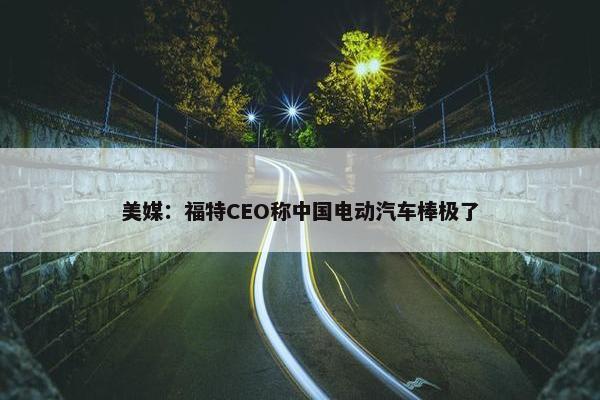 美媒：福特CEO称中国电动汽车棒极了