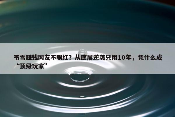 韦雪赚钱网友不眼红？从底层逆袭只用10年，凭什么成“顶级玩家”