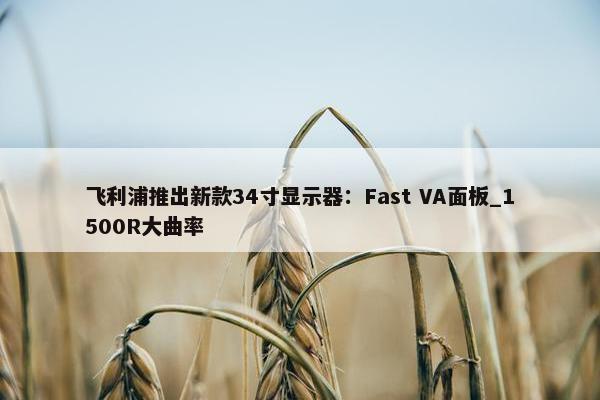 飞利浦推出新款34寸显示器：Fast VA面板_1500R大曲率