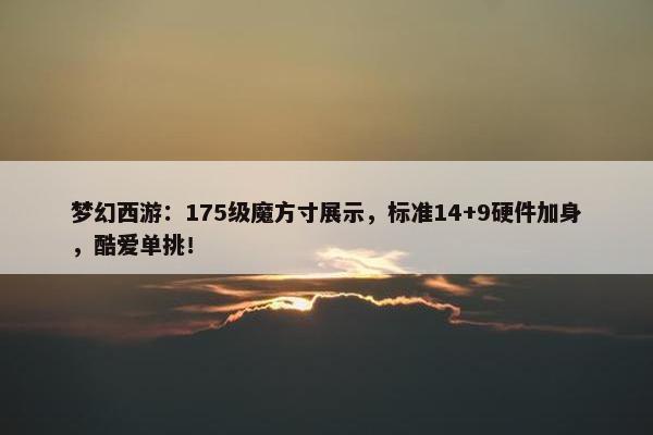 梦幻西游：175级魔方寸展示，标准14+9硬件加身，酷爱单挑！