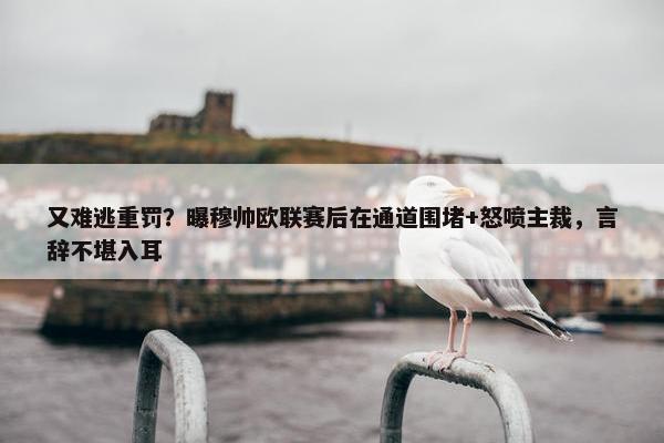 又难逃重罚？曝穆帅欧联赛后在通道围堵+怒喷主裁，言辞不堪入耳