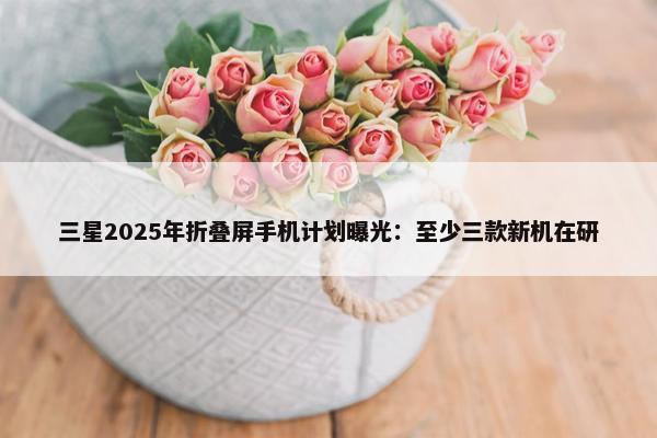 三星2025年折叠屏手机计划曝光：至少三款新机在研