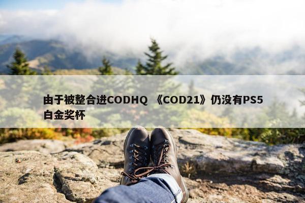 由于被整合进CODHQ 《COD21》仍没有PS5白金奖杯