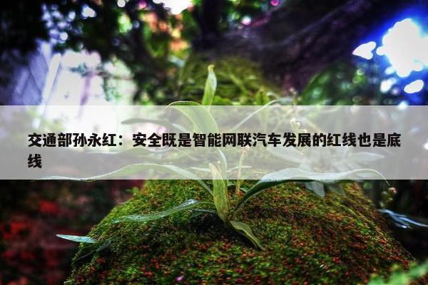 交通部孙永红：安全既是智能网联汽车发展的红线也是底线