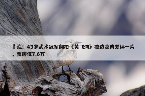 ​烂！43岁武术冠军翻拍《黄飞鸿》擦边卖肉差评一片，票房仅7.6万