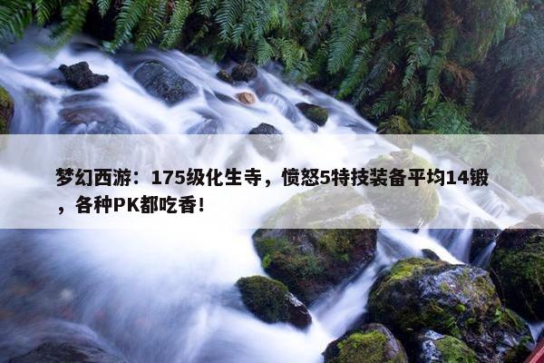 梦幻西游：175级化生寺，愤怒5特技装备平均14锻，各种PK都吃香！