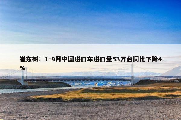 崔东树：1-9月中国进口车进口量53万台同比下降4%