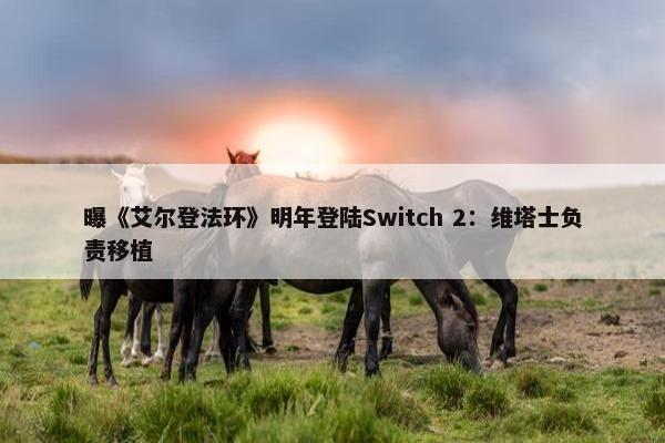 曝《艾尔登法环》明年登陆Switch 2：维塔士负责移植