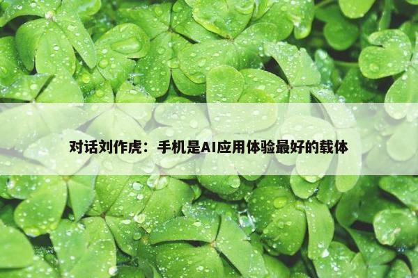 对话刘作虎：手机是AI应用体验最好的载体