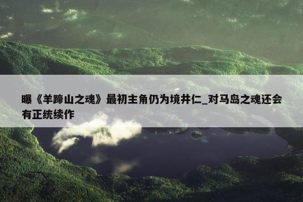 曝《羊蹄山之魂》最初主角仍为境井仁_对马岛之魂还会有正统续作