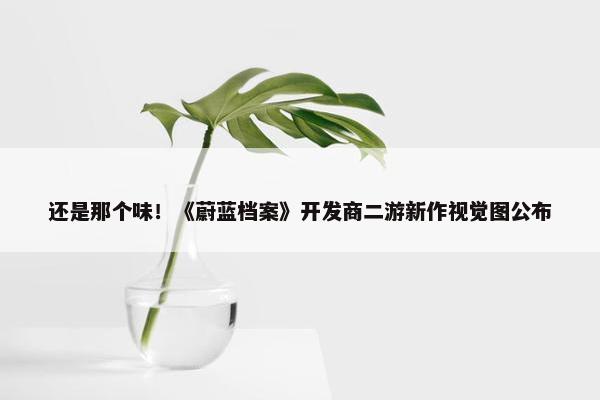 还是那个味！《蔚蓝档案》开发商二游新作视觉图公布