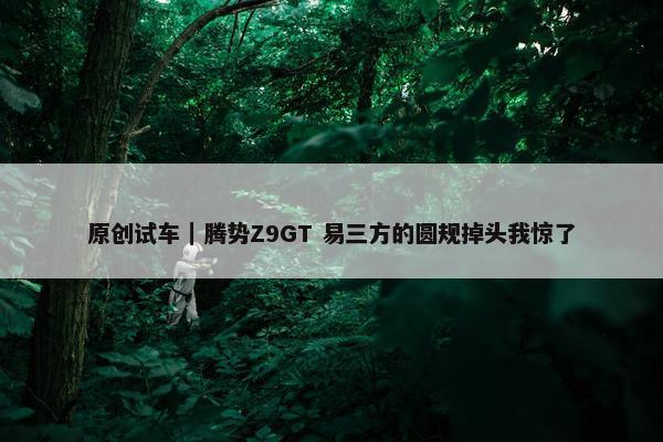 原创试车｜腾势Z9GT 易三方的圆规掉头我惊了