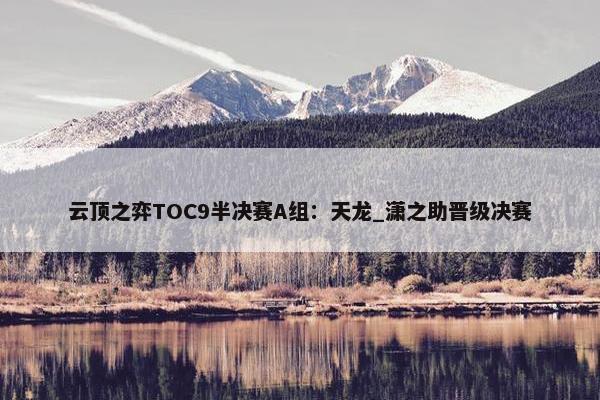 云顶之弈TOC9半决赛A组：天龙_潇之助晋级决赛