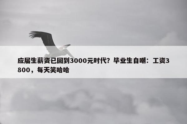 应届生薪资已回到3000元时代？毕业生自嘲：工资3800，每天笑哈哈