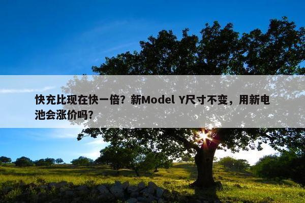 快充比现在快一倍？新Model Y尺寸不变，用新电池会涨价吗？