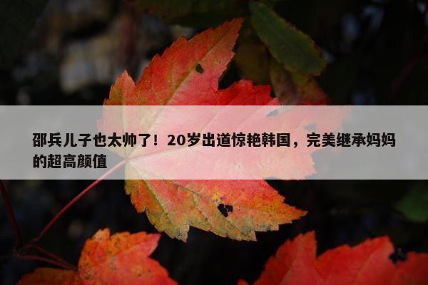 邵兵儿子也太帅了！20岁出道惊艳韩国，完美继承妈妈的超高颜值