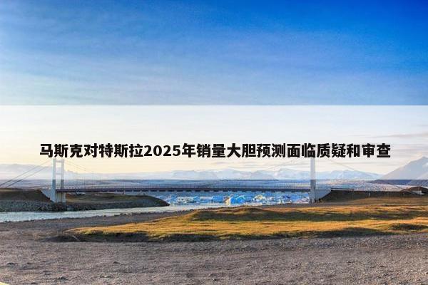 马斯克对特斯拉2025年销量大胆预测面临质疑和审查