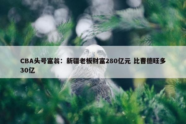 CBA头号富翁：新疆老板财富280亿元 比曹德旺多30亿