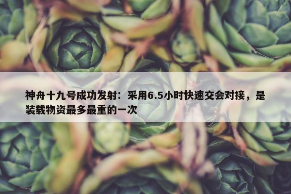 神舟十九号成功发射：采用6.5小时快速交会对接，是装载物资最多最重的一次