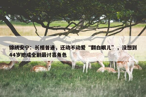 锦绣安宁：长相普通，还动不动爱“翻白眼儿”，没想到44岁她成全剧最讨喜角色