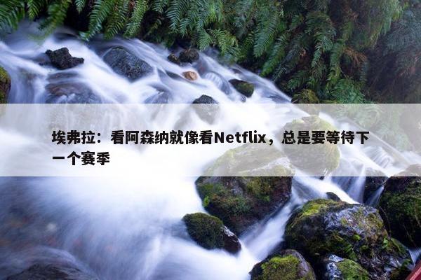 埃弗拉：看阿森纳就像看Netflix，总是要等待下一个赛季