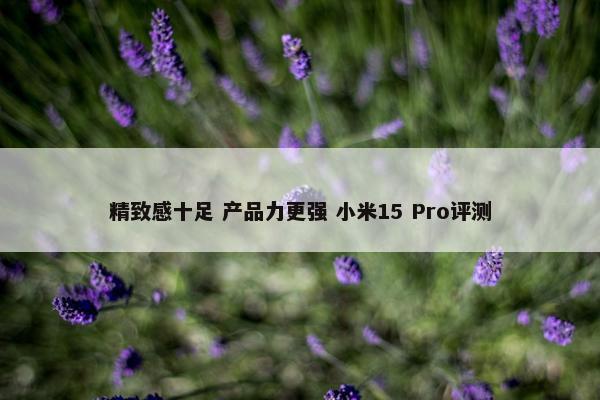 精致感十足 产品力更强 小米15 Pro评测