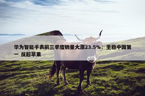 华为智能手表前三季度销量大涨23.5%：坐稳中国第一 反超苹果