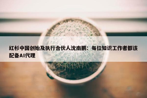 红杉中国创始及执行合伙人沈南鹏：每位知识工作者都该配备AI代理