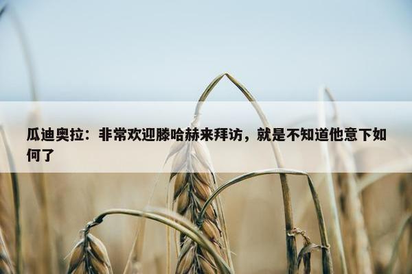 瓜迪奥拉：非常欢迎滕哈赫来拜访，就是不知道他意下如何了