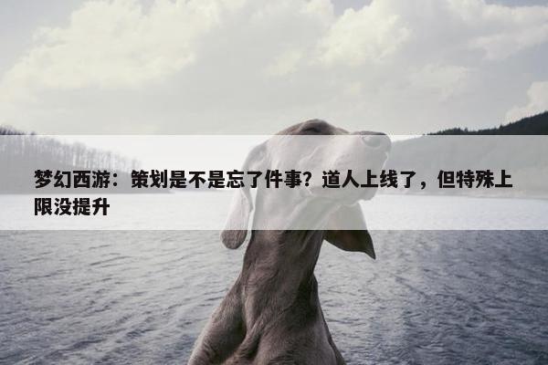 梦幻西游：策划是不是忘了件事？道人上线了，但特殊上限没提升