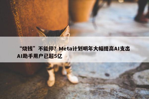 “烧钱”不能停？Meta计划明年大幅提高AI支出 AI助手用户已超5亿