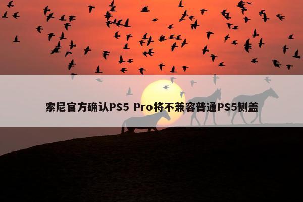 索尼官方确认PS5 Pro将不兼容普通PS5侧盖