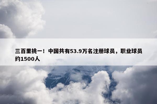 三百里挑一！中国共有53.9万名注册球员，职业球员约1500人