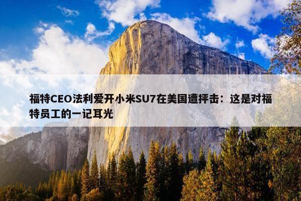 福特CEO法利爱开小米SU7在美国遭抨击：这是对福特员工的一记耳光