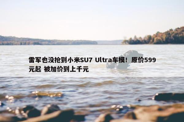 雷军也没抢到小米SU7 Ultra车模！原价599元起 被加价到上千元