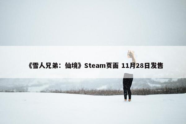 《雪人兄弟：仙境》Steam页面 11月28日发售