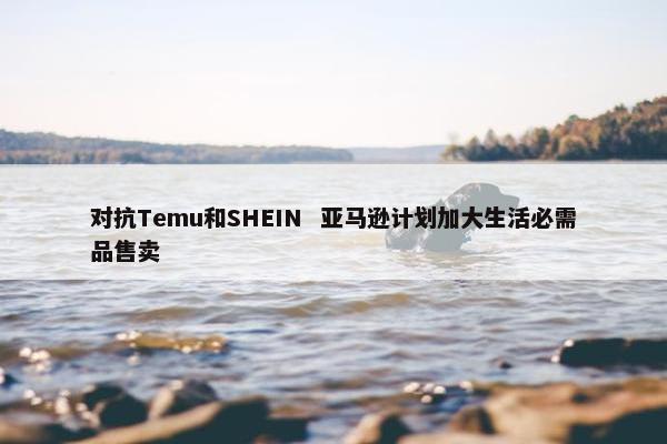 对抗Temu和SHEIN  亚马逊计划加大生活必需品售卖