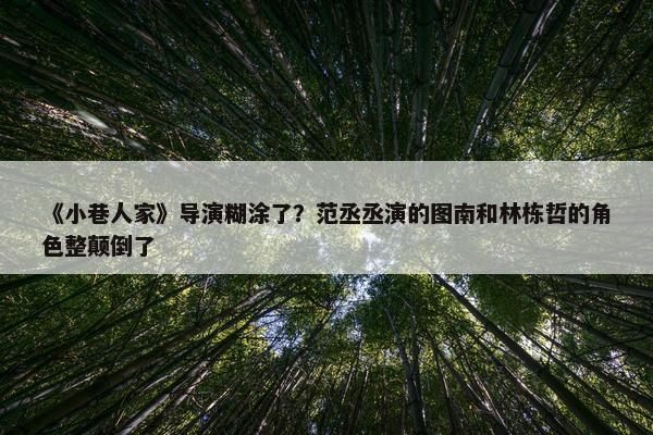 《小巷人家》导演糊涂了？范丞丞演的图南和林栋哲的角色整颠倒了