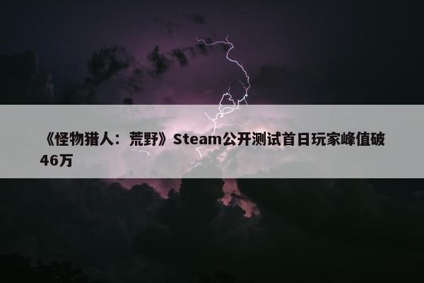 《怪物猎人：荒野》Steam公开测试首日玩家峰值破46万