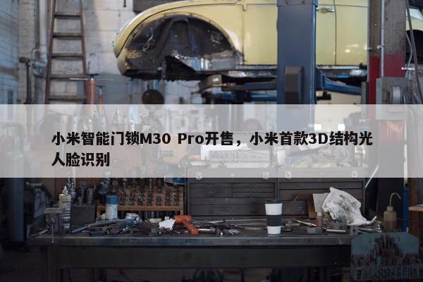 小米智能门锁M30 Pro开售，小米首款3D结构光人脸识别