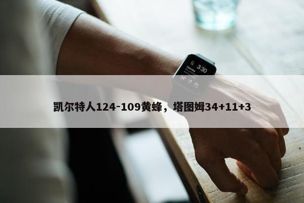 凯尔特人124-109黄蜂，塔图姆34+11+3